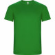 VERDE FELCE VERDE FELCE