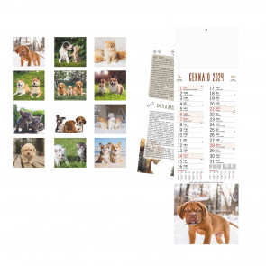 B/71 - DOGS AND CATS CALENDAR ""