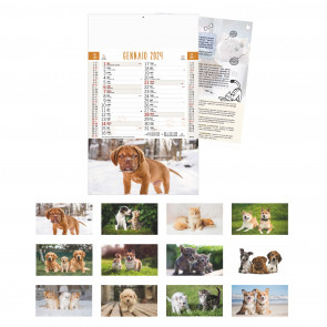 B/77 - DOGS AND CATS CALENDAR ""